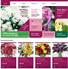 Как открыть цветочный интернет-магазин
